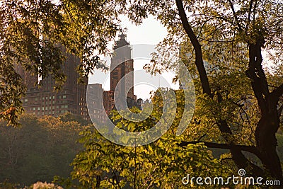 Geen trees in Central Park in New York City, Fall