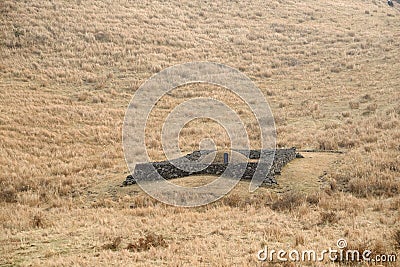 General Grave made by basalt in Jeju