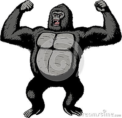 Giant Gorilla Stock Photo - Image: 8399770