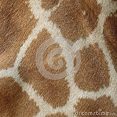 Giraffe skin