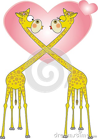 Giraffes in love