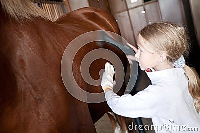 Girl cleaning horse