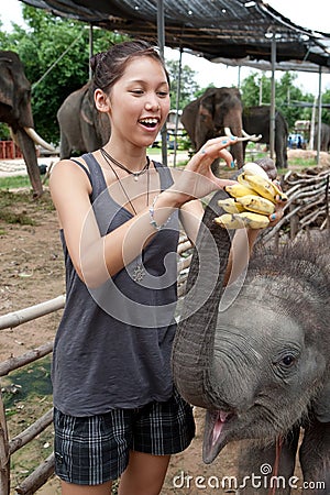 Girl is feeding baby elephant