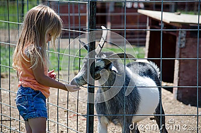 Girl feeding goat