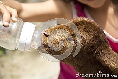 Girl feeding rejected baby lamb