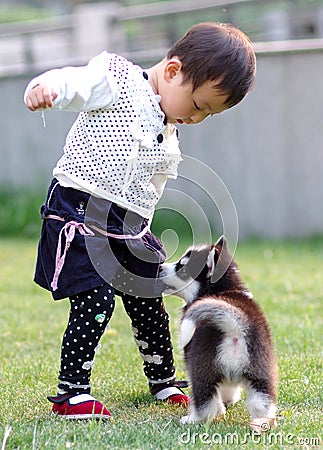 Girl play with dog