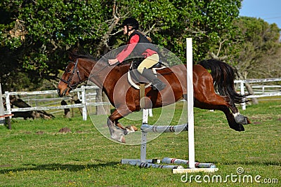 Girl show jumping with pony