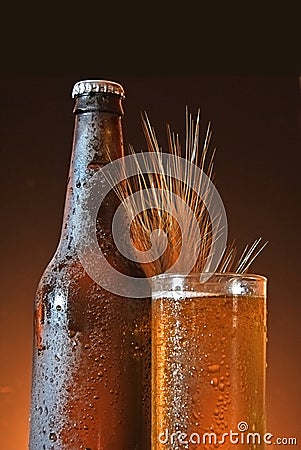Glass and bottle of cold beer