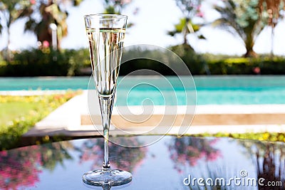Glass of champagne