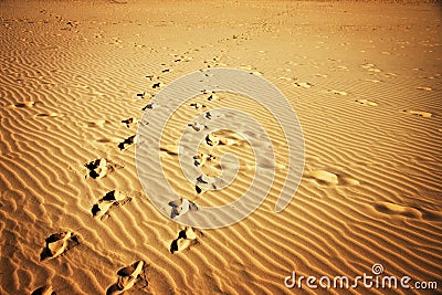 Glowing Sand Foot Prints