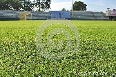 Goal and Green grass soccer field