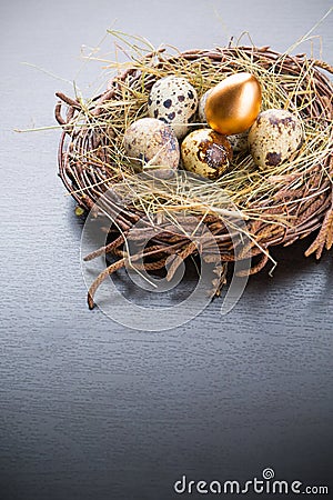 Gold Egg