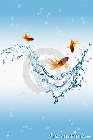 Gold fish and water splash