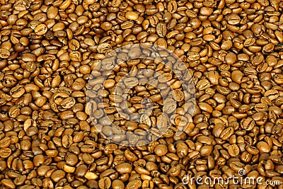 Golden coffee beans for background and texture