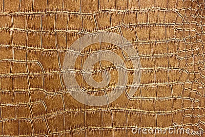 Golden Crocodile Skin Texture and pattern, closeup