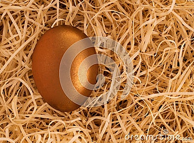 Golden nest egg, protected - financial concept background