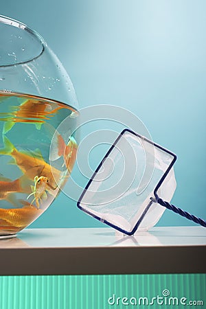 Goldfish Bowl And Net