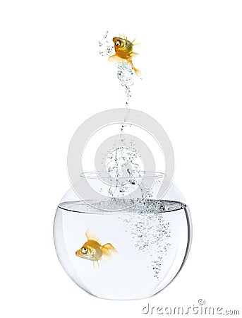 Goldfish leaping out of goldfish bowl