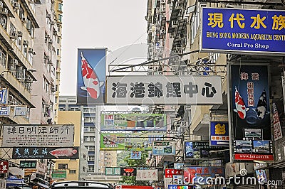 Goldfish market in Hong Kong