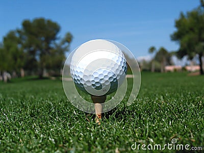 Golf Ball tee up