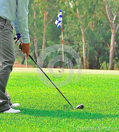 Golf green hole course man putting ball