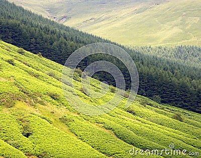 Gospel pass the black mountains