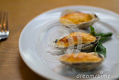 Gourmet Oysters