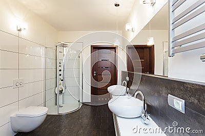 Grand design - bathroom interior