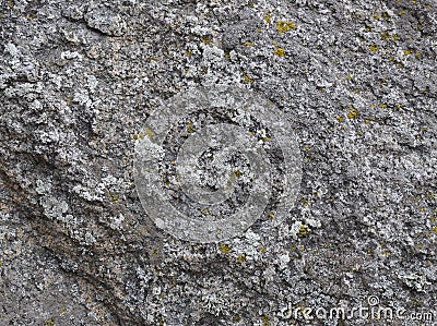 Granite stone with moss