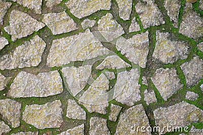 Granite Stone Walkway