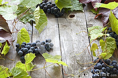 Grapes with green leaves background