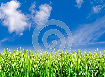 Grass against cloudy blue sky
