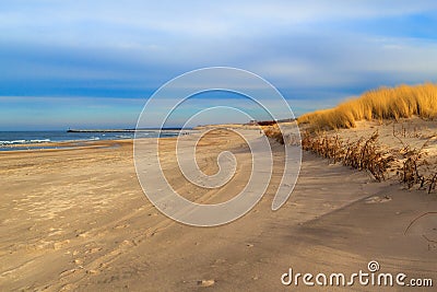 Grass covered dunes shores Baltic Sea