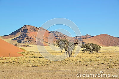 Grass, dune and mountain landscape near Sossusvlei