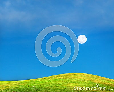 Grass filed with sky and the moon