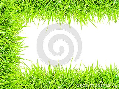 Grass isolated border C