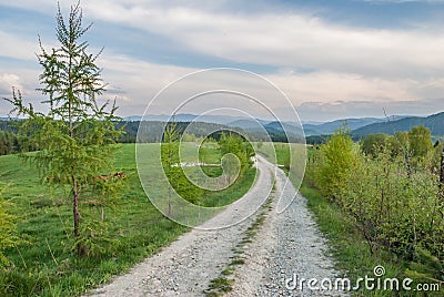 A gravel road in Bieszczady Mountains