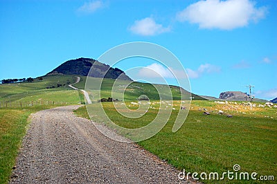 Gravel road rural area New Zealand