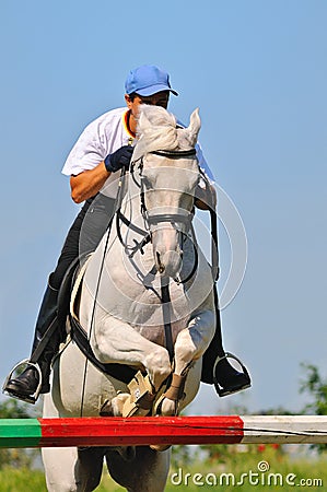 Gray horse and rider over a jump