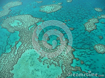 The Great Barrier Reef 2