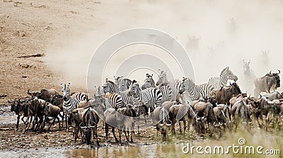 Great Migration Kenya