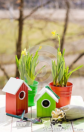 Green bird house and Narcissus in pots, shovel and seeds against garden in spring