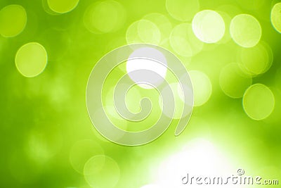 Green bokeh soft color background