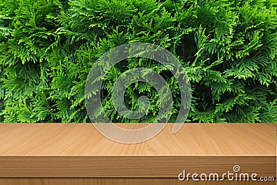 Green bush and empty wooden table