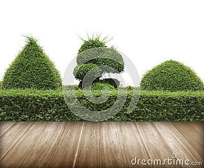 Green bush with wall and flooring wood.