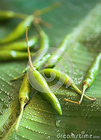 Green Chilis on leaf