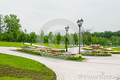 Green city park in summer day