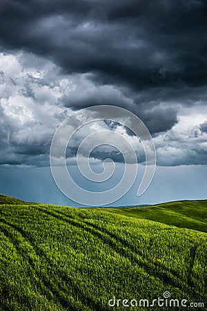 Green field with dark clouds in the background