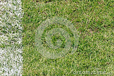 Green grass at football field