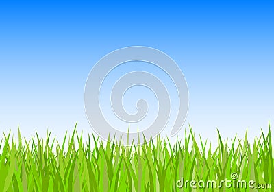 Green grass and sky background